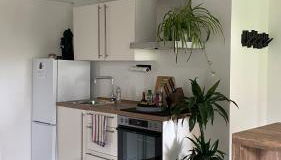 Helle 1-Zimmer Souterrainwohnung in ruhiger Lage! - Foto 4, stove