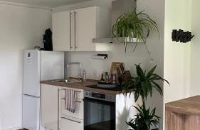 Helle 1-Zimmer Souterrainwohnung in ruhiger Lage! - Foto 4