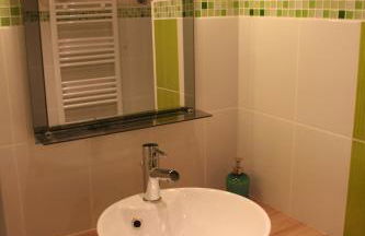 Les Hellebores - Foto 56