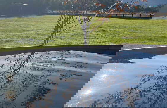 Patagonia Puelo Lodge - Foto 23