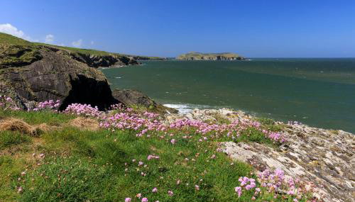 The Coach House New Quay - Foto 3