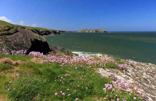 The Coach House New Quay - Foto 3