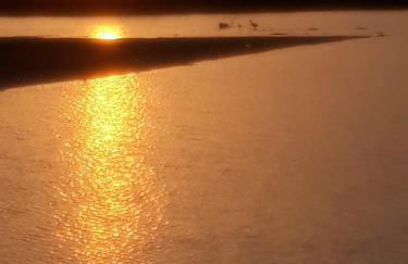 Villa Biniritta - Foto 58