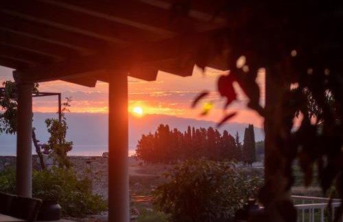 Dvor Pitve Villas - Photo 28