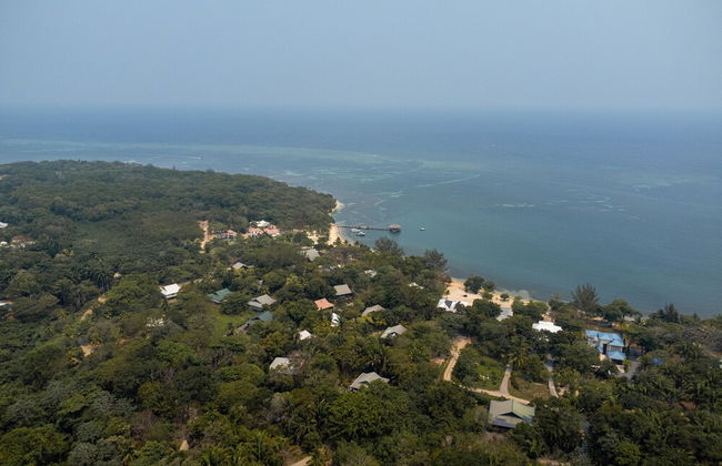 Tropical Breeze - Foto 3