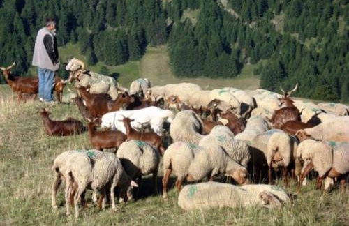 Paradis St Véran - Foto 7