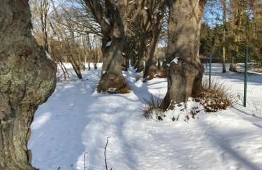 Seeblick Warin - Foto 31