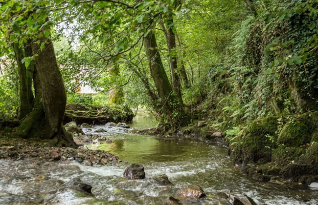 Nice Apartment in Olsberg - Foto 14