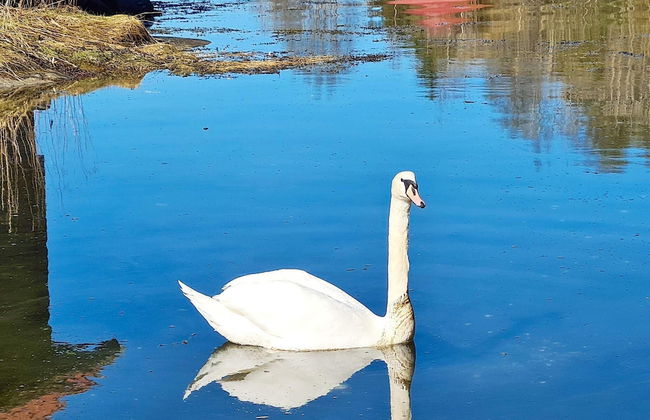 5 Person Holiday Home in Lonevag-by Traum - Foto 8