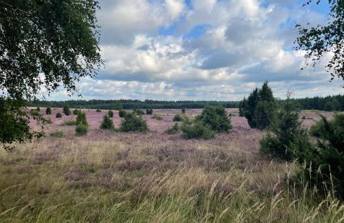 Ferienwohnung Ram 1 - Photo 63