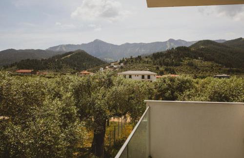 Essentia Vita Comfy Suites - Photo 21