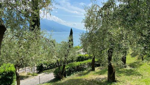 Villa Gianna Terrazza - Foto 4, Garden view