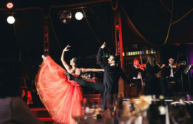 Concert de Strauss avec dîner dans le Prater - Photo 8