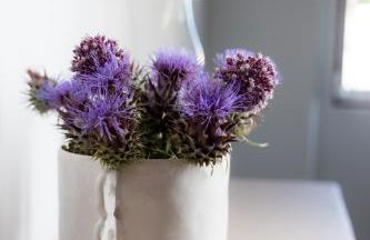 Casas Velhas - Casa da Taberna - Foto 13