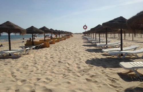 T1 Manta Rota - Foto 25