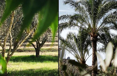 Mallorca Finca Gallo Negro Santanyi Campos - Foto 5