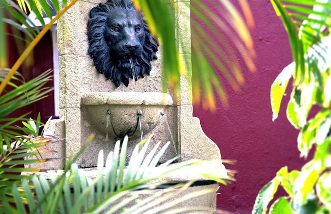 California Suites - Foto 16