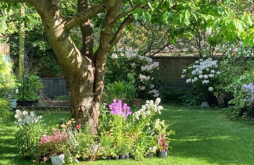 Beautiful Thatched Cottage with Piano - Foto 11