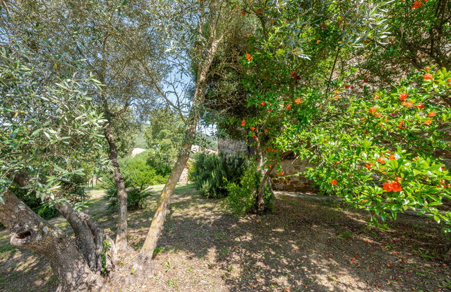 2 bedroom House in Cinigiano with private pool and garden - Photo 44