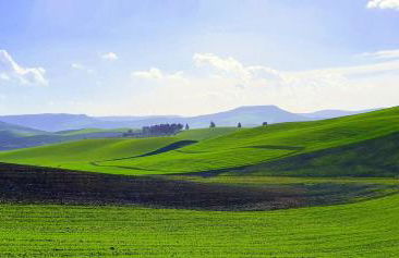 Angela's Apartment. Elegant two bedroom house in Irsina - Foto 65