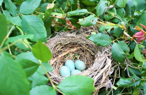 Agriturismo Malvista - Foto 11