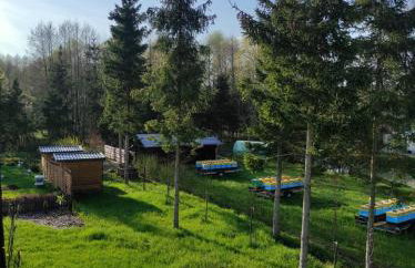 Gościniec Polna Pszczoła - Foto 22