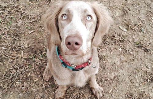 Zentrale Messewohnung im wunderschönen Vorort - Foto 1
