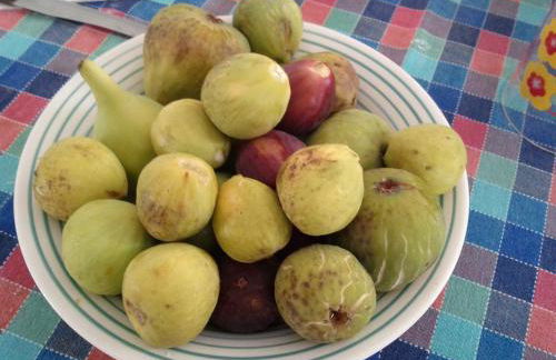 Appartamenti Alba e Tramonto - Foto 31