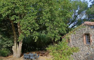 Le Moulin de La Grave - Lagrasse - Foto 6