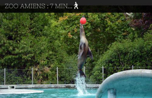 Casamara 3 studio au coeur du parc de la Hotoie - Foto 8