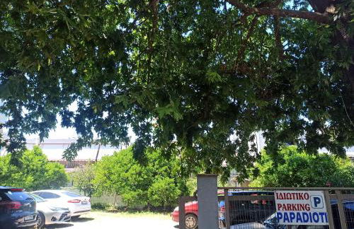 Papadioti Apartments - Foto 48