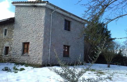 Flor de Pomar - Foto 50