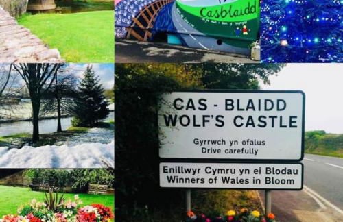 Willow Lodge, Wolfscastle - Foto 45