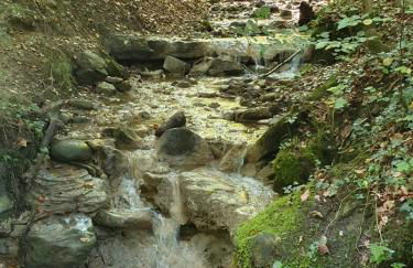 Schweizer´s Ferienwohnung - Foto 43