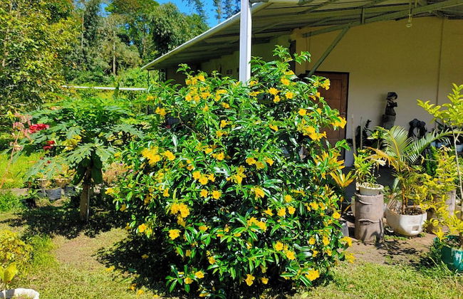 ilasan cottage - Photo 28