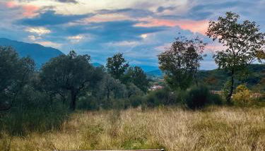 Torretta Margiotta - Foto 4, Garden, Garden view