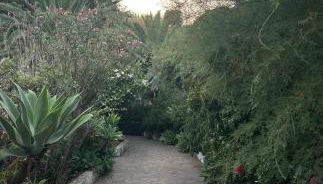 Schicciolina - Foto 2