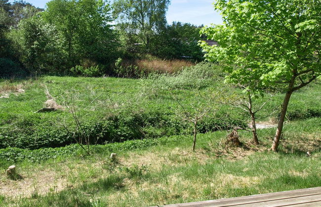 "Laurine" - 2.7km from the sea - Foto 7