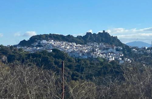 Duquesa Village (La Casa del Loonos) - Photo 68