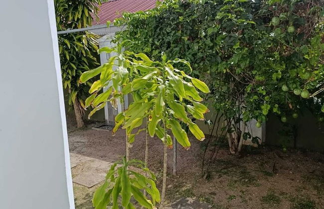 340 Mountain View Apartments - Foto 11