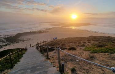 Gecko Pego Longo - Foto 61