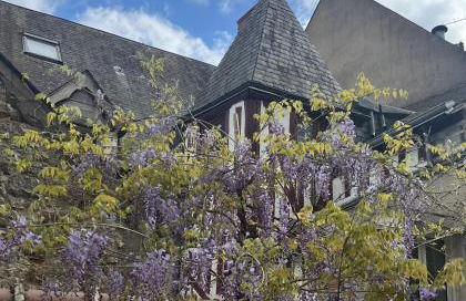 Châtel Rose - Historical Centre with Garden - Foto 19