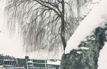 Ferienhäuser zur Schäferei - Foto 35