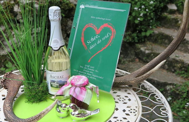 Waterval in het Huis Boshoek - Foto 30