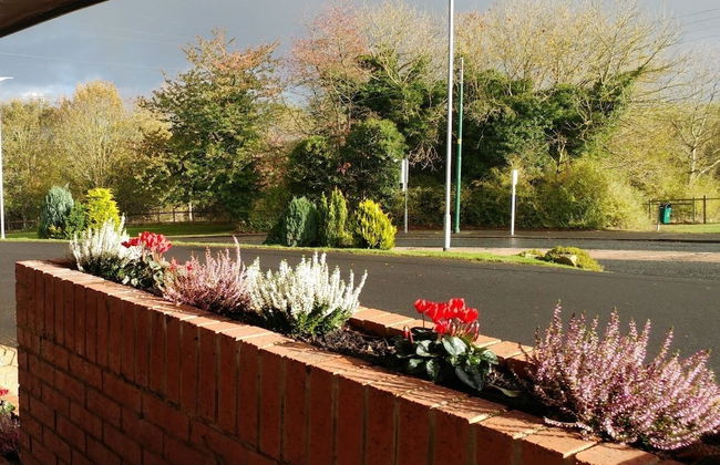 Swan Studios - Foto 33