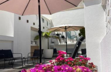 Olivia Apartments TRG - Photo 46