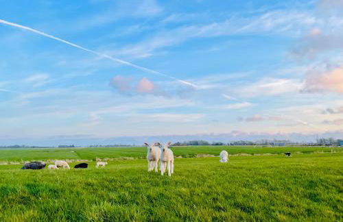 Nordseeestate Comfortable Holiday Residence - Foto 38