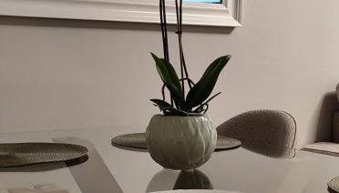 Cangas con encanto - Foto 3