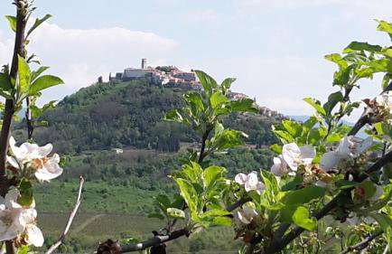 Apartment Bataja - Foto 26