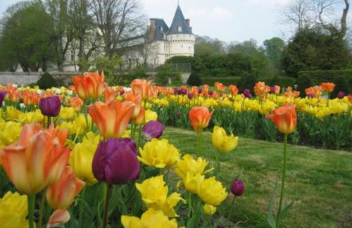 Le Refuge de Normandie avec Spa et Cheminée - Foto 31